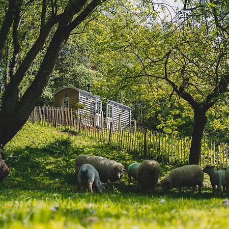 Somerset Shepherds Huts Winsham Exterior foto